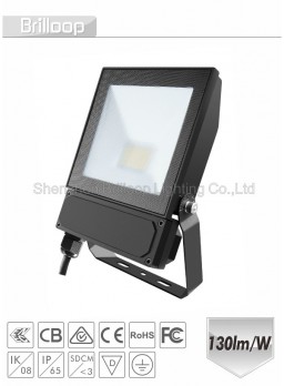 F17.C - Quality Floodlight